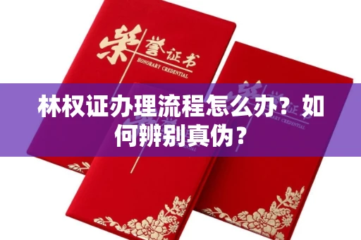 无锡林权证办理流程怎么办?如何辨别真伪?