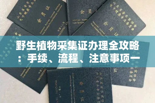 无锡野生植物采集证办理全攻略:手续、流程、注意事项一网打尽